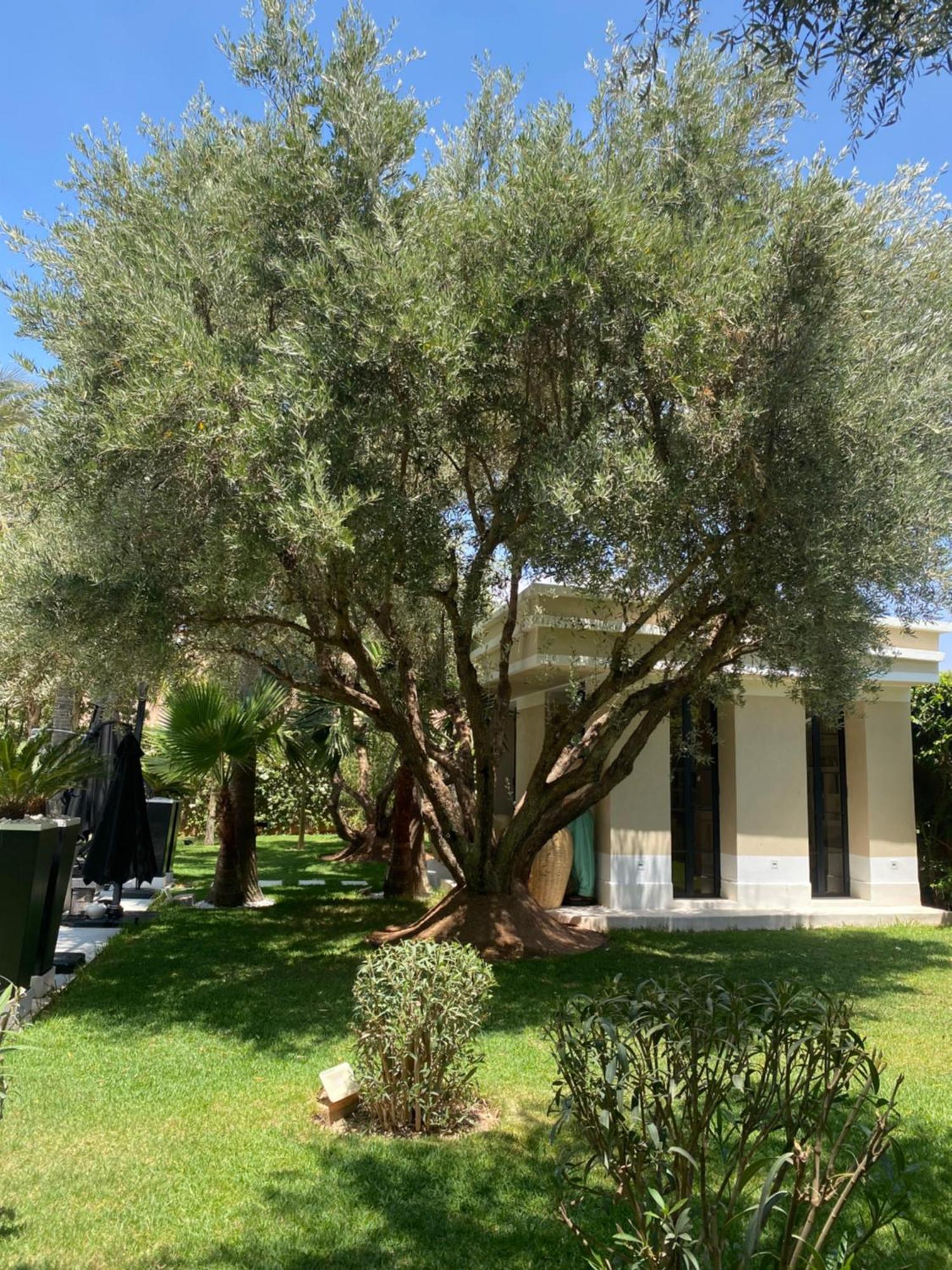 Villa Mano Lagouassem Exterior foto